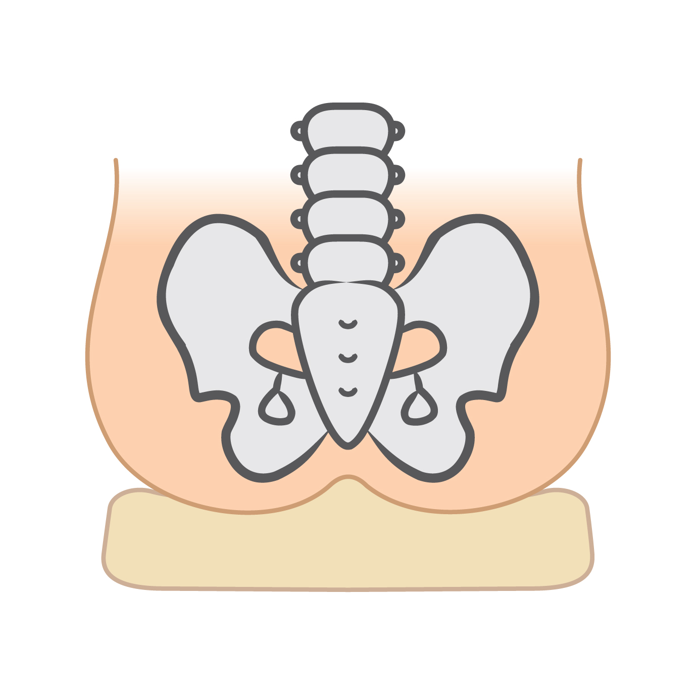 坐骨とクッションの中央部の盛り上がりが<br />
骨盤を安定させる→座姿勢がよくなる